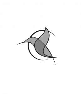 Logo cdjlenvol gris